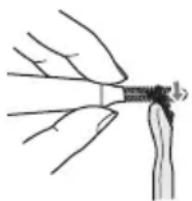 Avanti WD29EC - Escova rotativa - 1