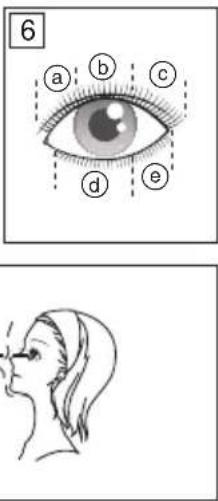 6 a b c d e