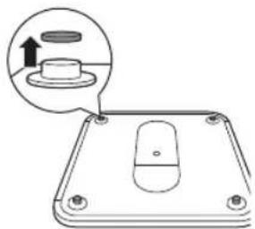 PHILIPS DL8780 - Applicazione dei piedini per tappeti - 1