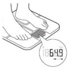6.49 mV