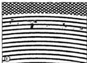 Abstract pattern of horizontal black lines on a checkered background, no text or symbols present.