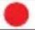 SALORA CDC1300FD - RESET - 3