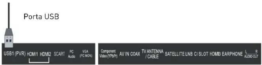 Porta USB USB1 (PVR) HDMI1 HDMI2 SCART PC VGA Audio (PC MOX) Component Video (YPiP) AV IN COAX TV ANTENNA / CABLE SATELLITE LNB CI SLOT HDMI3 EARPHONE L R AUDIO OUT