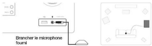 Brancher le microphone fourni