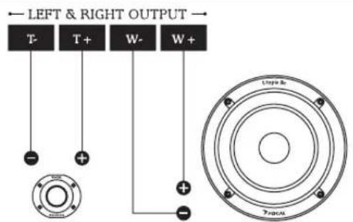 LEFT & RIGHT OUTPUT T- T+ W- W+ - + - + Topo