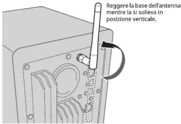 Reggere la base dell'antenna mentre la si solleva in posizione verticale.