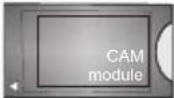 SALORA 43LED9102CS - (\*) MY BUTTON: - 27