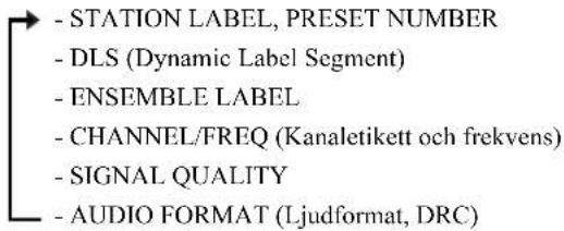- STATION LABEL, PRESET NUMBER - DLS (Dynamic Label Segment) - ENSEMBLE LABEL - CHANNEL/FREQ (Kanaletikett och frekvens) - SIGNAL QUALITY - AUDIO FORMAT (Ljudformat, DRC)