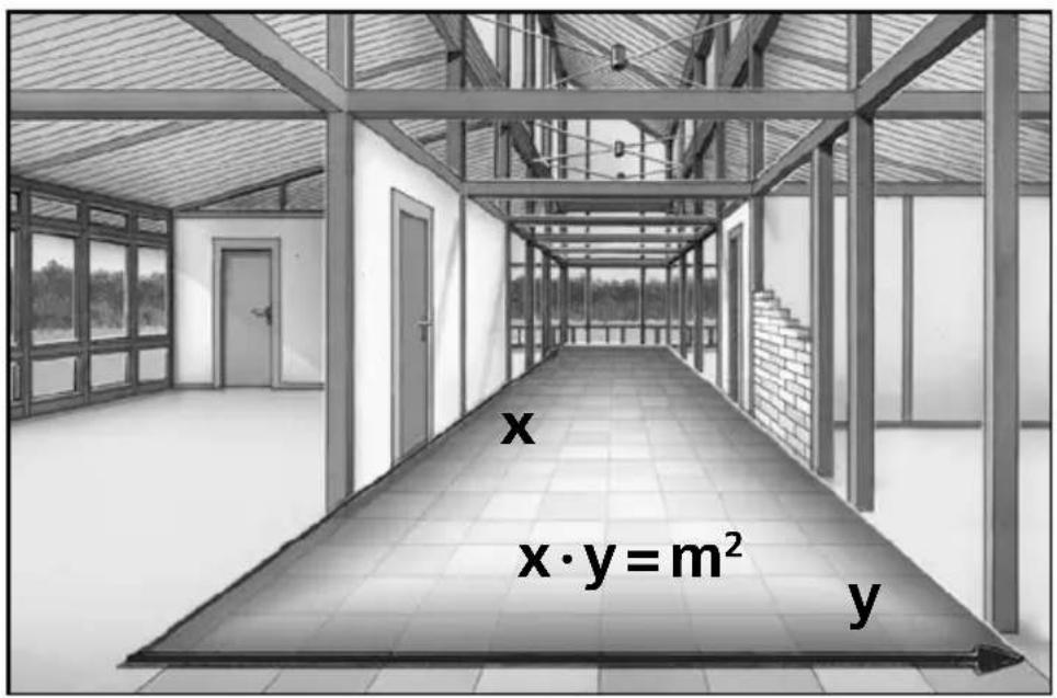 x x·y=m² y