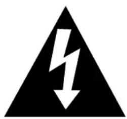 ROADSTAR HIF-1690BT - COMMENT ÉLIMINER CE PRODUIT (déchets d'équipements électriques et électroniques) - 2