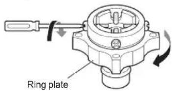 Ring plate