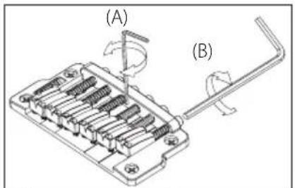 (A) (B)