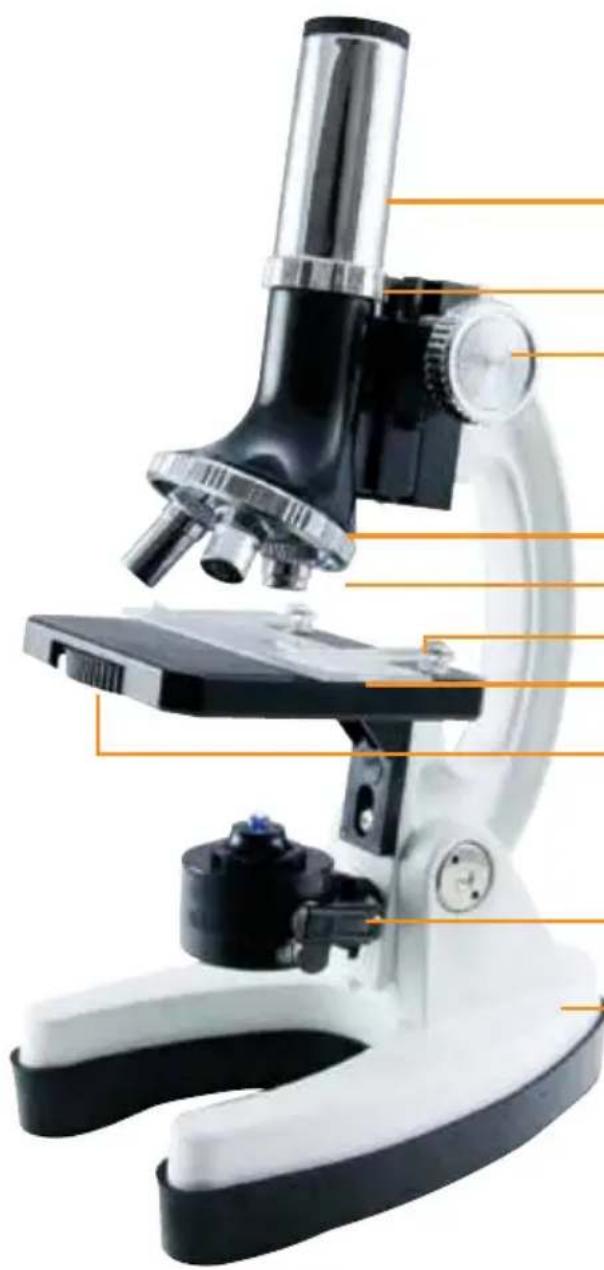 Illustration of a microscope with labeled parts, showing black and white components and orange measurement lines (no text or symbols on the device itself)