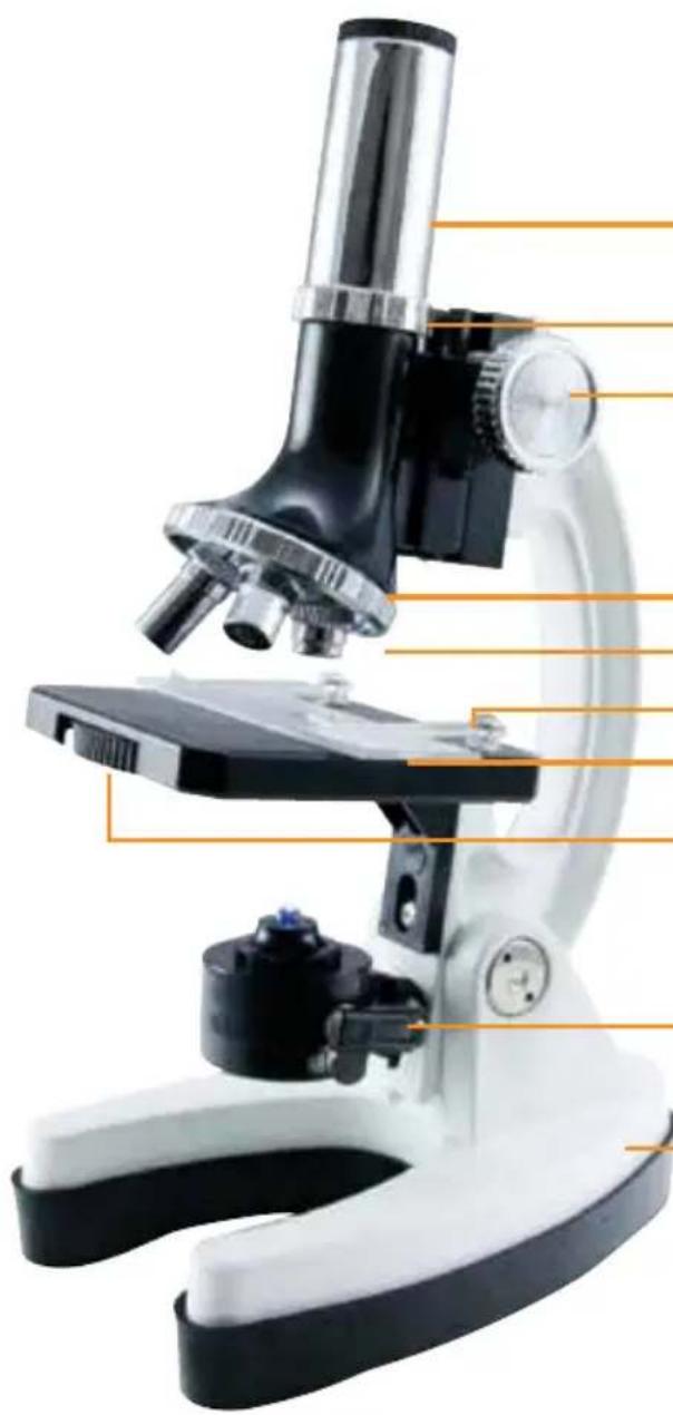 Illustration of a microscope with labeled parts, showing black and white components and orange alignment lines (no text or symbols present)
