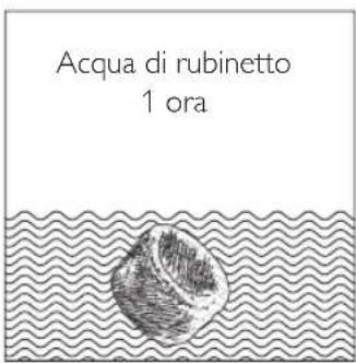 Acqua di rubinetto 1 ora