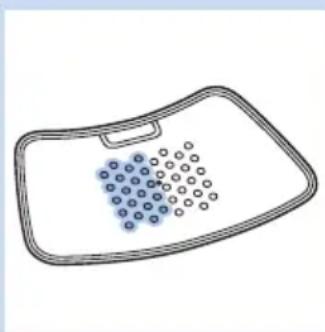 PHILIPS BlueTouch PRP6100 - Selecting the treatment modes - 3