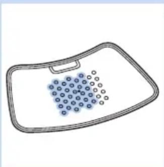 PHILIPS BlueTouch PRP6100 - Behandlungsintensität - 1