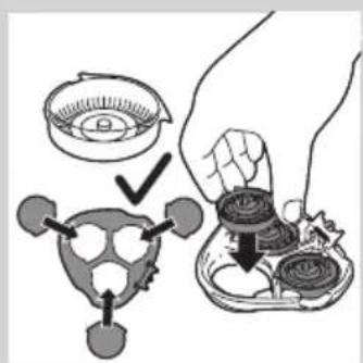 Diagram illustrating a hand holding a bowl with a lid, showing steps to process a turtle and a container with food items.