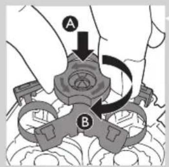 A B