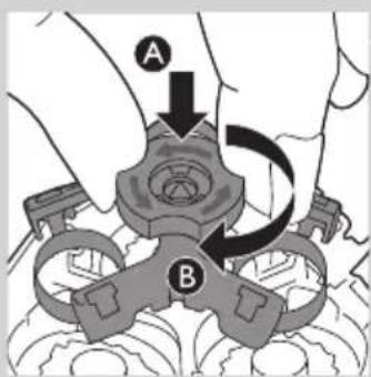 A B