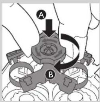 A B