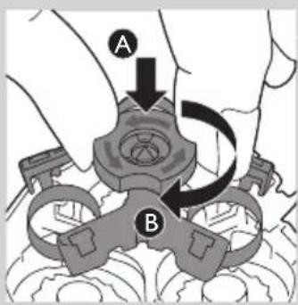 A B