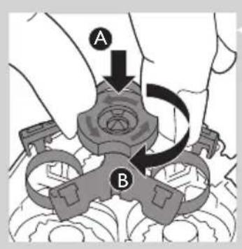 A B