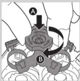A B