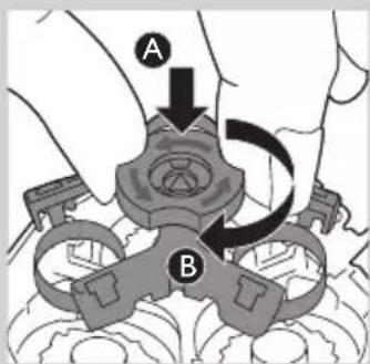 A B