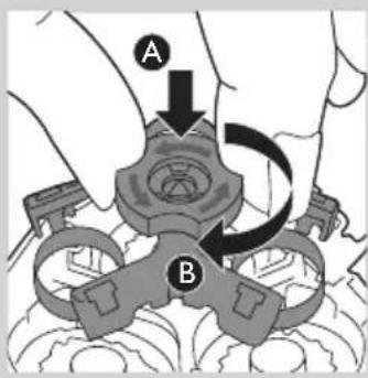 A B