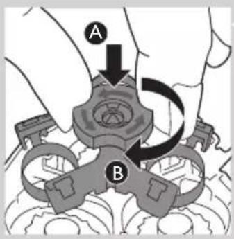 A B