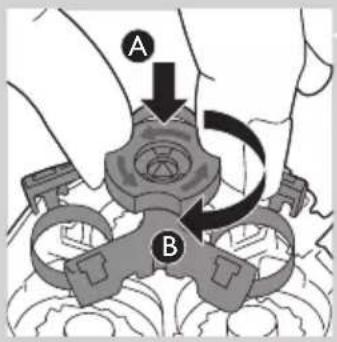 A B