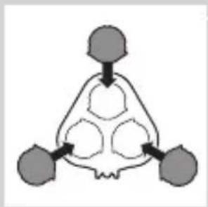 graph TD A["Input Node 1"] --> C["Processing Node"] B["Input Node 2"] --> C D["Input Node 3"] --> C C --> E["Output Node 1"] C --> F["Output Node 2"] C --> G["Output Node 3"]