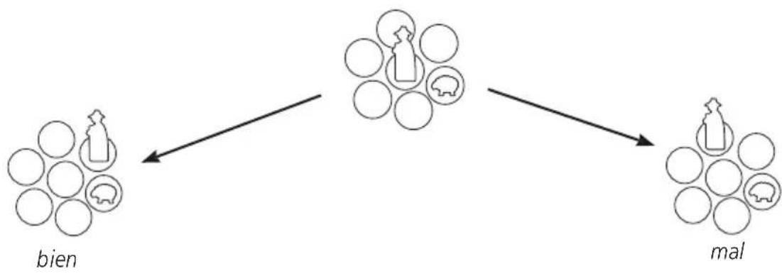 graph TD A["bien"] --> B["Process"] B --> C["mal"]