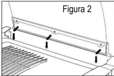 Figura 2