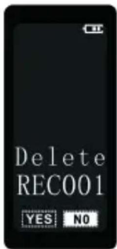 Delete REC001 YES NO