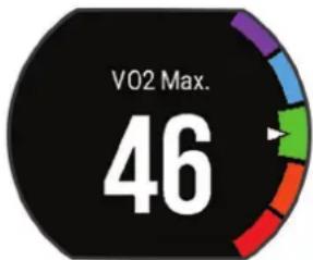 V02 Max. | Value | |---| | 46 |