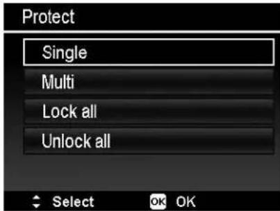 Protect Single Multi Lock all Unlock all Select OK OK