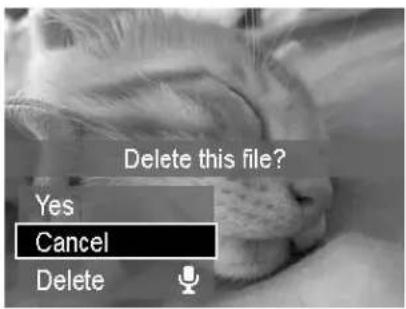 Delete this file? Yes Cancel Delete