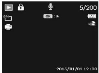 5/200 OK : > 2015/01/01 12:00