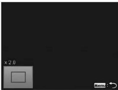 Simple graphic with a square and x2.0 label, no readable text or symbols in the main content area.