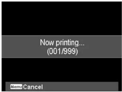 Now printing... (001/999) Menu Cancel