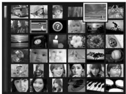 Grid of black-and-white photo grid panels showing various subjects and objects (no text or symbols visible)