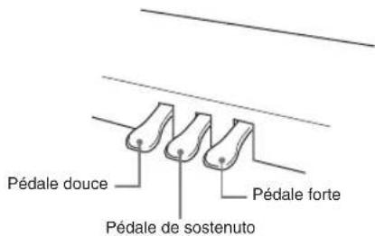 Pédale douce Pédale de sostenuto Pédale forte