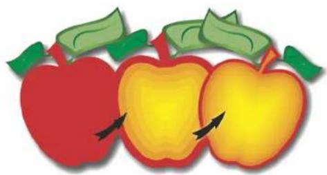 Illustration of three apples with green leaves and a red apple, showing a split interior (no text or symbols)