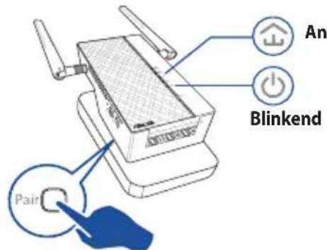 An Blinkend Pair
