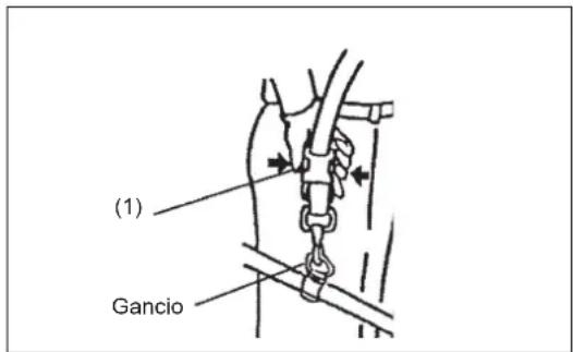(1) Gancio