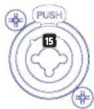 PUSH 15