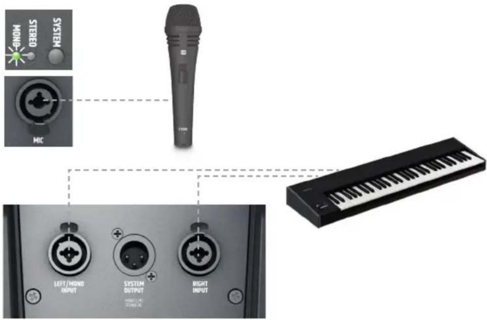 MONO STEREO SYSTEM MIC LEFT/MONO INPUT SYSTEM OUTPUT RIGHT INPUT
