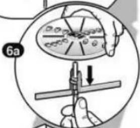 6a